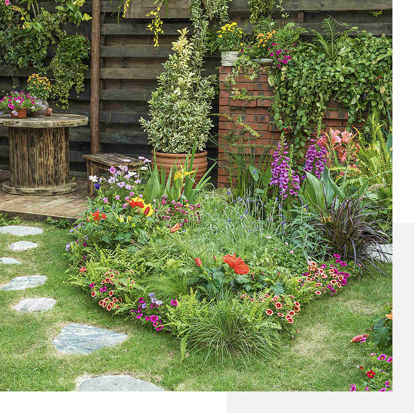 plantes cultiver1